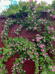 pink flowers are growing on the side of a red wall with green leaves and vines