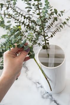 a person holding a plant in front of a white vase on a marble counter top