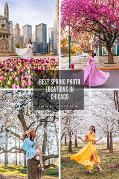 the best spring photo locations in chicago