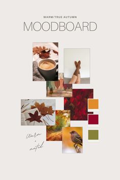 the front cover of a book with pictures of autumn leaves and a bird on it