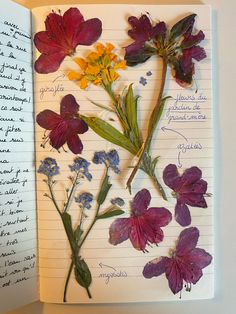 an open notebook with dried flowers on it