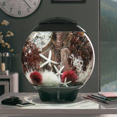 there is a fish bowl with some corals in it and a clock on the wall behind it