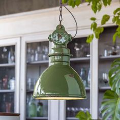 a green light hanging from a ceiling in a room with lots of shelves and potted plants