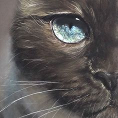 a close up of a black cat with blue eyes