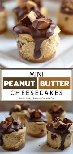 mini peanut butter cheesecakes with chocolate drizzle on top and the title overlay reads, mini peanut butter cheesecakes