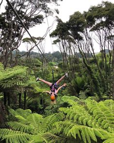 a man is suspended in the air over ferns and trees with his arms outstretched out