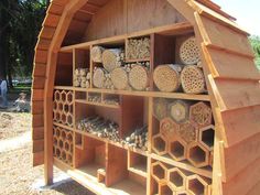 the shelves are filled with different types of beehives and honeycombs,