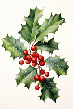 a painting of holly with red berries and green leaves