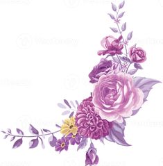 purple and yellow flowers on a white background