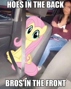 a woman sitting in the back seat of a car next to a pinkie pony