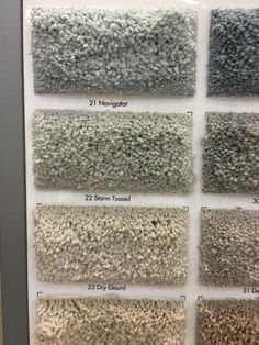 carpet swatches are shown in different colors and sizes, with the names below them