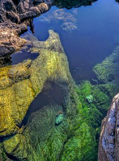 the water is very clear and blue with green algae growing on it's sides