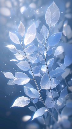 a blue background with leaves and water droplets