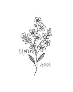 an ink drawing of flowers with the words alaska written in black and white on it