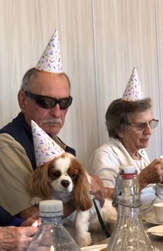 an older couple and their dog wearing party hats at a dinner table with confetti