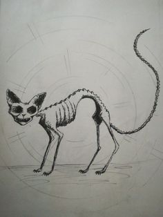 a drawing of a cat with a skeleton on it's back