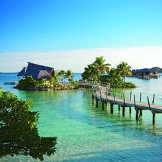 a dock in the middle of some water with houses on it and palm trees around