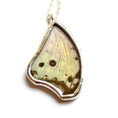 A real Salamis parhassus butterfly wing has been encased in custom cut glass and lead free silver solder. This butterfly is also known as the Mother Of Pearl butterfly due to the pearlescent qualities of the wing. The base coloring is a silvery color. When the light hits it at certain angles you can see the flashes of pinks and bronze. It is very subtle but beautiful! I really love the unique wing shape of this particular butterfly too. Back of wing is shown in 4th photo.  Pendant measures 2" ta Silver Butterfly Nature-inspired Jewelry, Handmade Silver Butterfly Necklace, Unique Handmade Silver Butterfly Necklace, Unique Silver Butterfly Necklace, Unique Silver Butterfly Necklace For Gift, Iridescent Butterfly-shaped Jewelry Gift, Iridescent Butterfly Shaped Jewelry Gift, Iridescent Butterfly Jewelry For Gifts, Iridescent Butterfly Jewelry For Gift