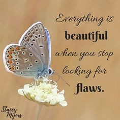 a blue butterfly sitting on top of a flower with a quote above it that reads, everything is beautiful when you stop looking for flowers