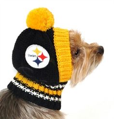 a small dog wearing a black and yellow knitted hat with a pittsburgh football logo on it