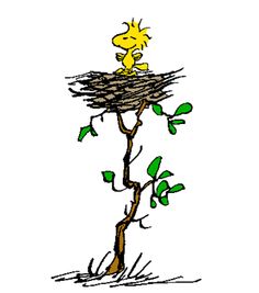 a drawing of a bird sitting on top of a tree