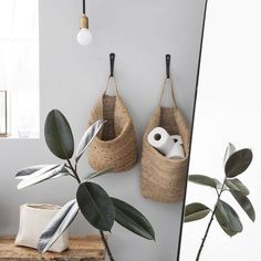 two baskets are hanging on the wall next to a mirror and a plant in front of it