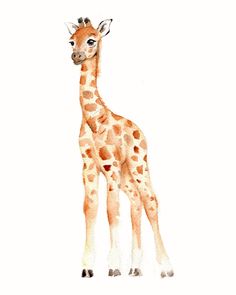 a baby giraffe watercolor painting on white paper with an instagram post