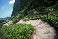 stairs lead up to the top of a mountain with lush green vegetation on both sides