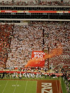 a football stadium filled with fans and players on the sidelines, some holding up a sign that reads wood pig