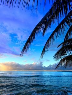 the sun is setting over the ocean with palm trees