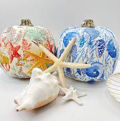 three seashells and starfish on a white surface with one painted orange, the other blue