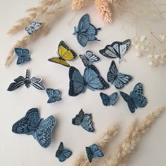 blue and yellow butterflies on white surface next to dried flowers, grasses and dry grass