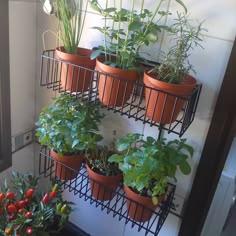 Temperos na cozinha, hortinha na cozinha. Outdoor Herb Garden, Herb Garden In Kitchen, Medicinal Garden, Small Vegetable Gardens, Rock Flowers, Herb Garden Design, Vertical Garden Diy, Plants Are Friends, Garden Kit