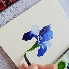 someone is painting a blue flower with watercolors