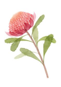 a watercolor painting of a pink flower with green leaves