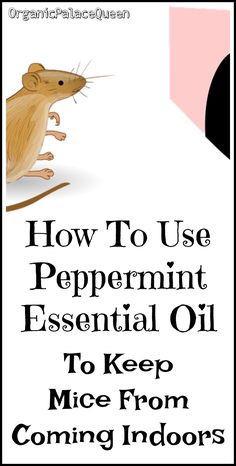 Mice Prevention, Diy Baking Soda, Peppermint Oil Benefits, Essential Oil Diy, Peppermint Tea Benefits, Rat Poison