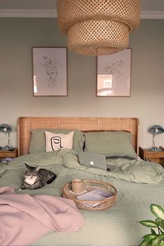 a cat laying on top of a bed next to a laptop computer and potted plant