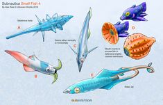 an image of different types of sea animals