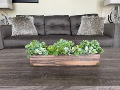 a living room filled with furniture and lots of green plants on top of a wooden table