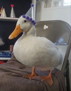 a white duck wearing a party hat on top of a towel next to a chair