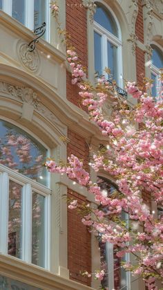 a tree with pink flowers in front of a building that has windows and clock on it