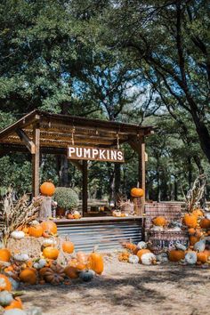 pumpkins on display in front of a wooden structure with a sign that says pumpkins