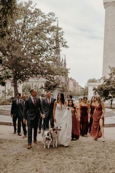 a bride and groom walking their dogs in front of the washington monument with other people