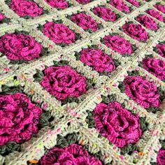 a crocheted blanket with pink and gray flowers on the edges is shown in close up