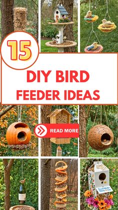 bird feeders that are hanging from trees with the words 15 diy bird feeder ideas