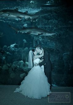 a bride and groom kissing in front of an aquarium with sharks on the wall behind them