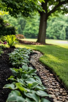 Garden with green plants alongside a pebble-lined path under a tree. Landscaping Ideas On A Budget, Cozy Seating, Lush Greenery, Landscape Ideas, Design Concepts, Outdoor Oasis