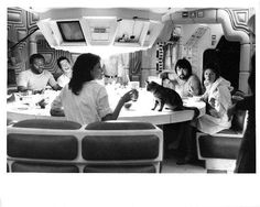 a group of people sitting around a table with a cat