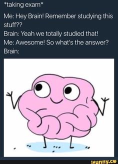 an image of a pink brain with the caption'me hey brain remembers studying this stuff? '