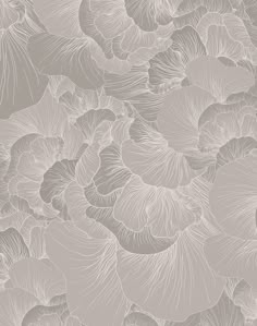 an abstract floral wallpaper design in beige and white